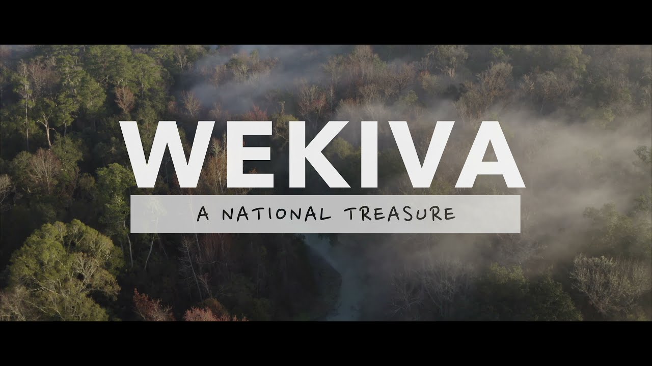The Wekiva Wild & Scenic River System, A National Treasure