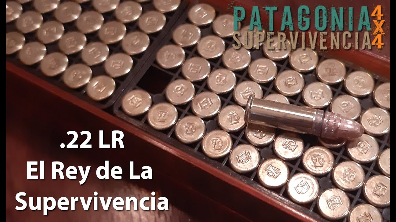 22LR el Rey de la supervivencia