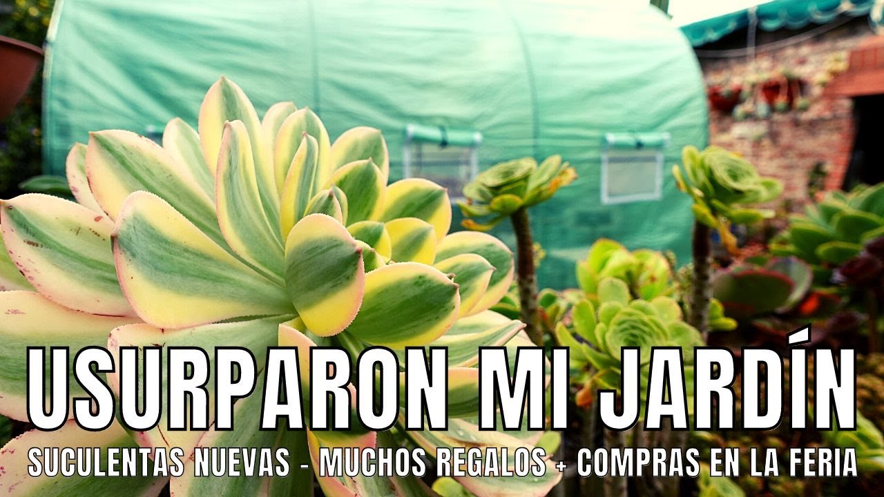 VLOG: USURPARON MI JARDÍN // NUEVAS SUCULENTAS: regalitos y compras en la feria de jardinería