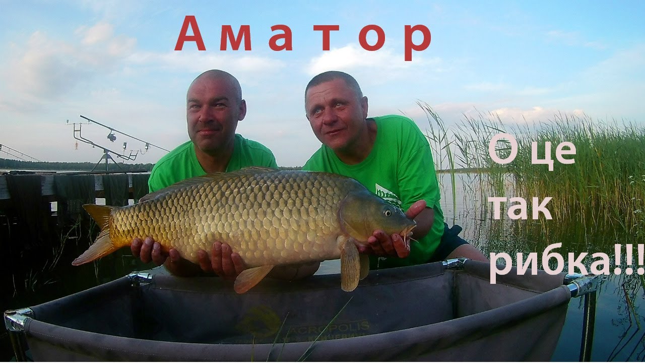 Аматор!!! О це так рибка!!!