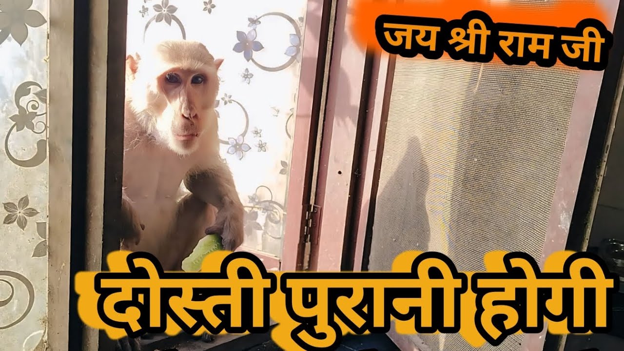 दोस्ती पुरानी होगी जय श्री राम || 😍💞🙏 @Ghanshyamofficial1