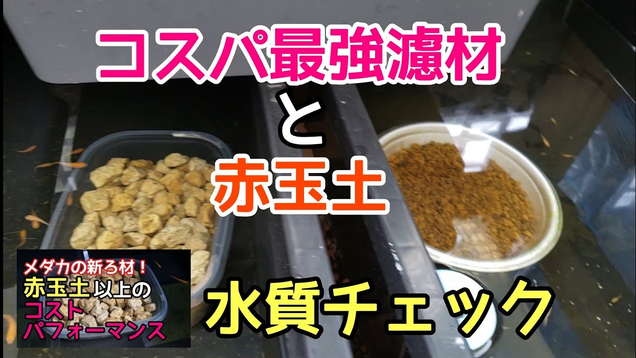 コスパ最強濾材と赤玉土の水質をチェック！【メダカ】