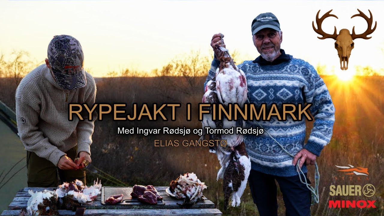 Rypejakt på Finnmarksvidda | 2024