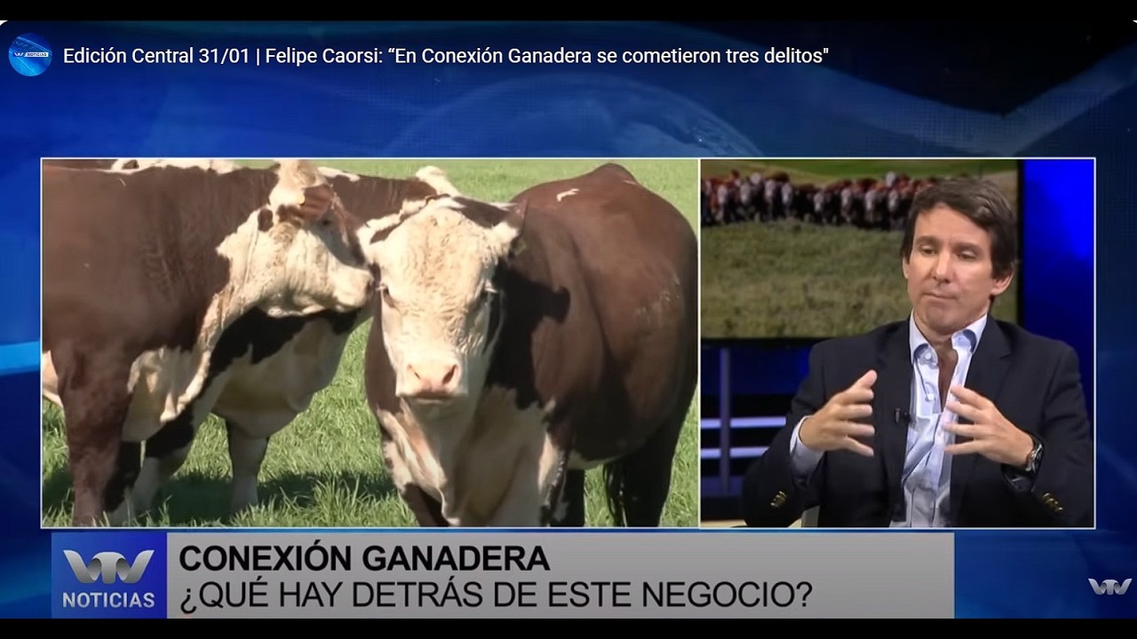 Felipe Caorsi en entrevista central para el noticiero de VTV