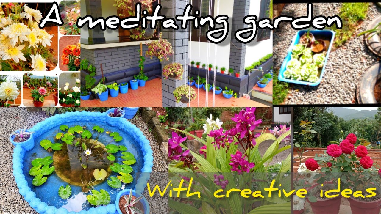 garden tour 💚🌱/അയൽപക്കത് ഒരു cute garden ഉണ്ട്. ഒന്ന് കണ്ടാലോ?