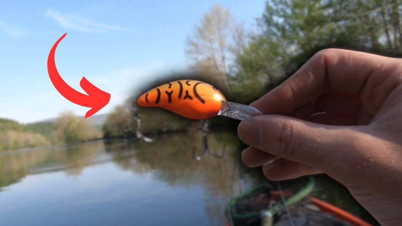 Сплав по реке Шенандоа при участии Gonefishing804