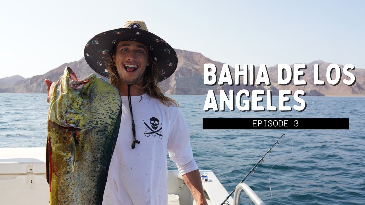 Episode 3 Bahia De Los Angeles - Fishing Yellowtail, Groupers & Cervezas