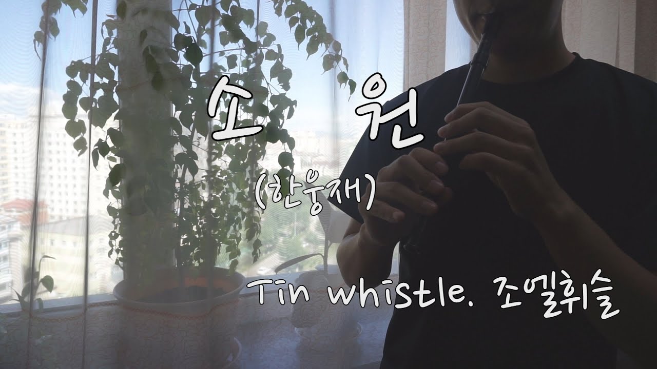 소원(한웅재) Tin whistle 틴 휘슬 연주 1시간 듣기