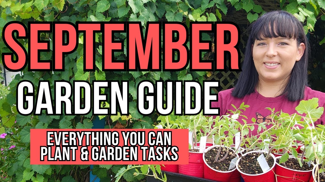 Сентябрьский путеводитель по садоводству: что начать с семян или посадить прямо сейчас #сад #сове...
