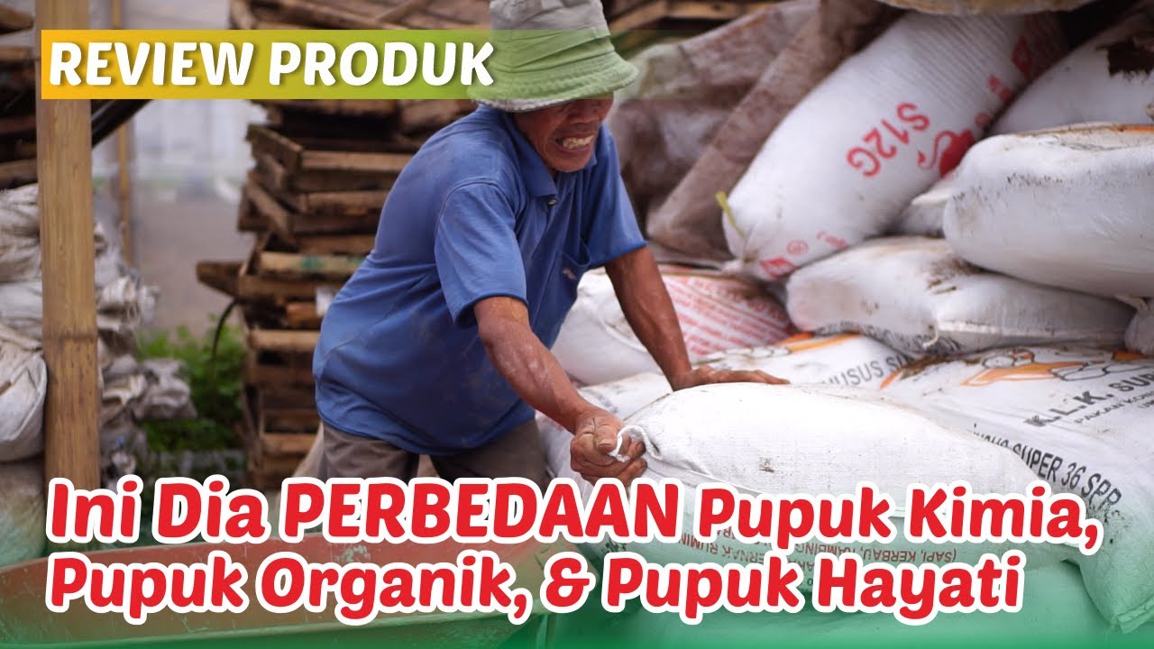 Penuhi Kebutuhan Tanaman Dengan Mengetahui Perbedaan Pupuk Organik, Pupuk Hayati, dan Pupuk Kimia