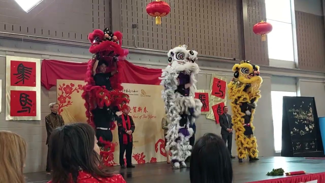 2026 Year of Horses dragon 采青