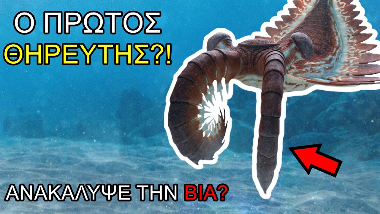 Οι πρώτοι θηρευτές | Η Πλήρης Ιστορία της Ζωής: Κάμβρια Περίοδος