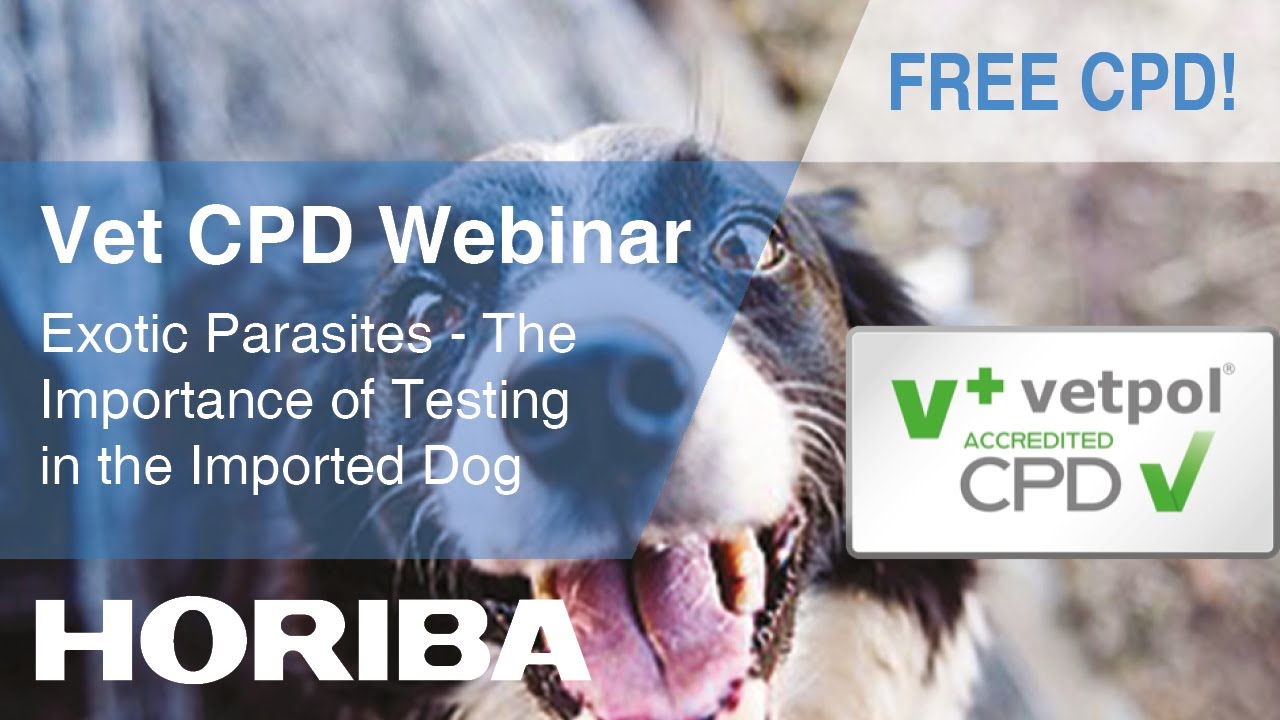 Exotic Parasites – The Importance of Testing in The Imported Dog - HORIBA Veterinary CPD Webinar