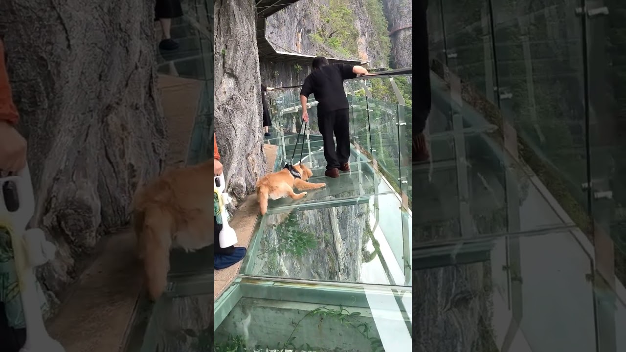 Danlu Mountain Tourism. Travel Glass Bridge. Guangxi Nandan Danlu Mountain Scenic Area #21