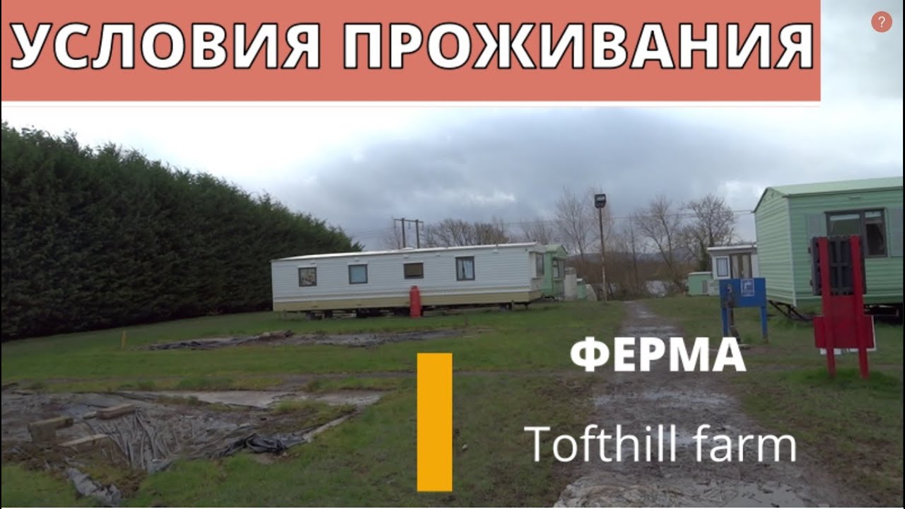 Условия проживания на ферме Tofthill, Шотландия.