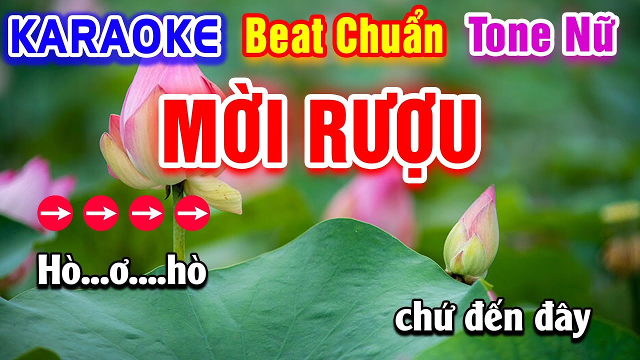 Mời Rượu (Dân Ca Xứ Nghệ) Karaoke Beat Chuẩn Tone Nữ - Hà My Karaoke