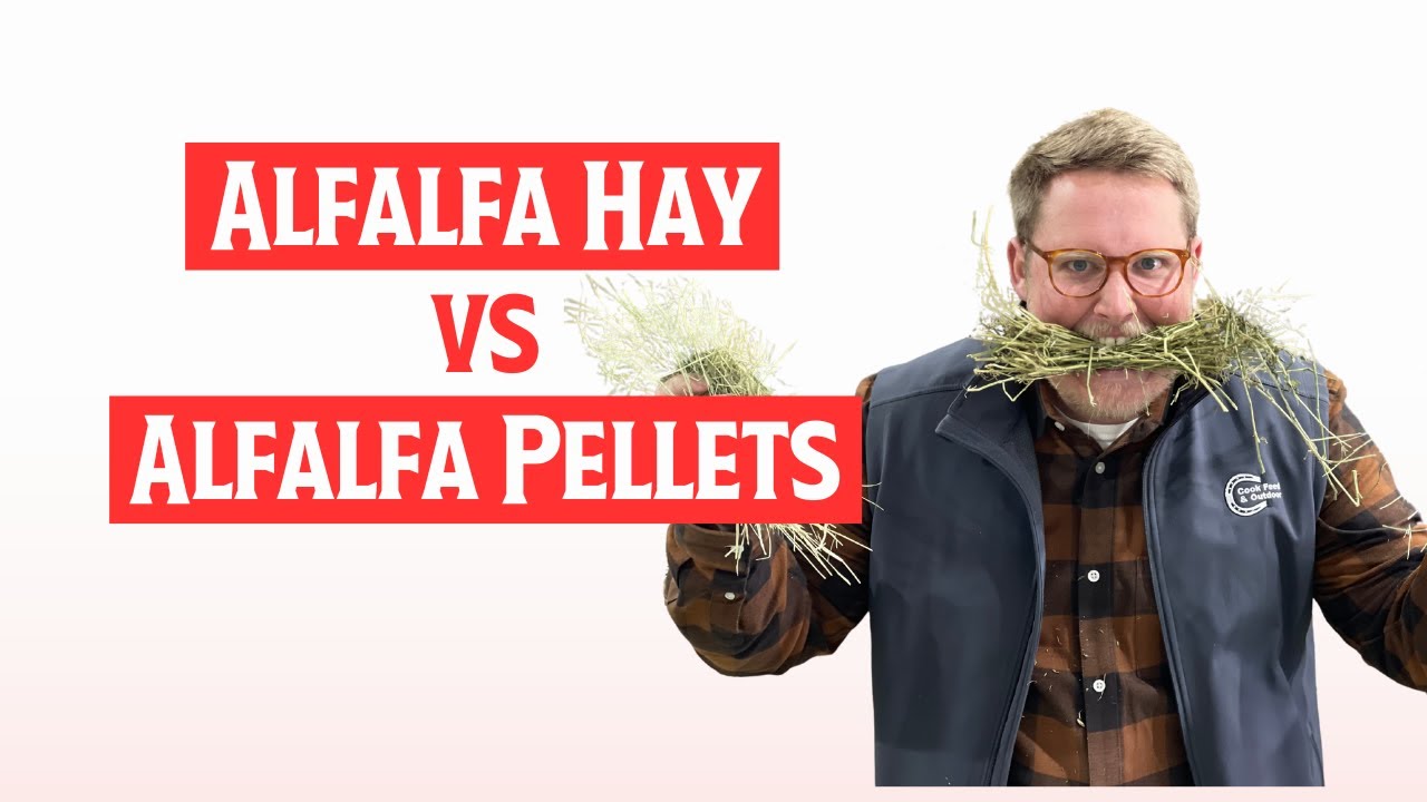 Alfalfa Hay vs Alfalfa Pellets