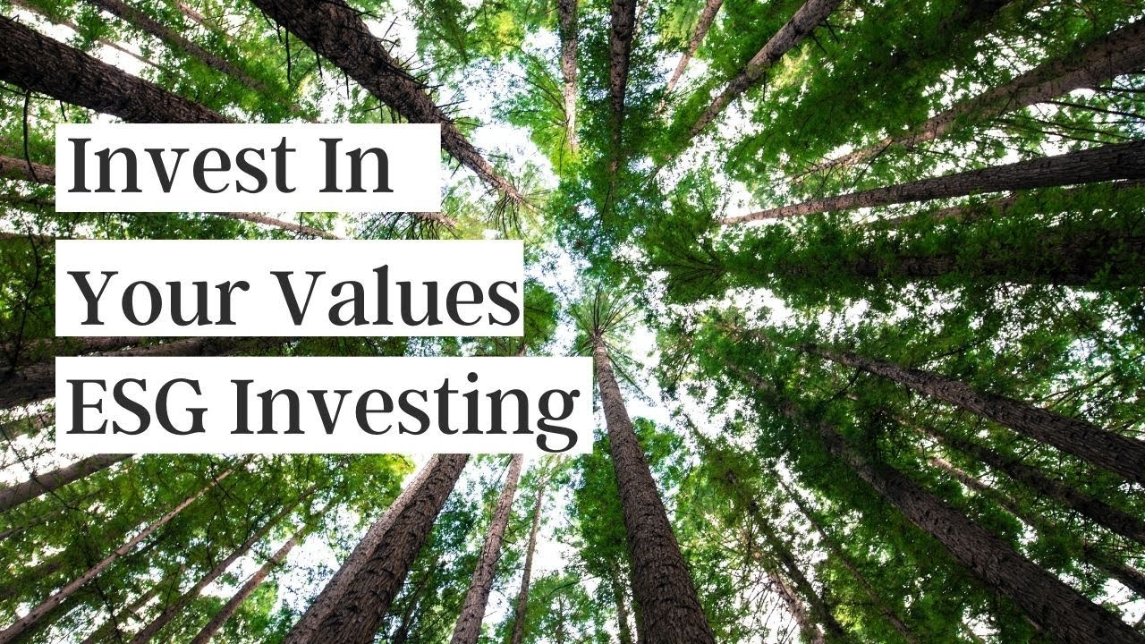 What is ESG Investing? | StrongHer Money