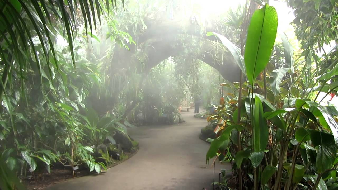 NYBG - Haupt Conservatory Tropical Rainforest