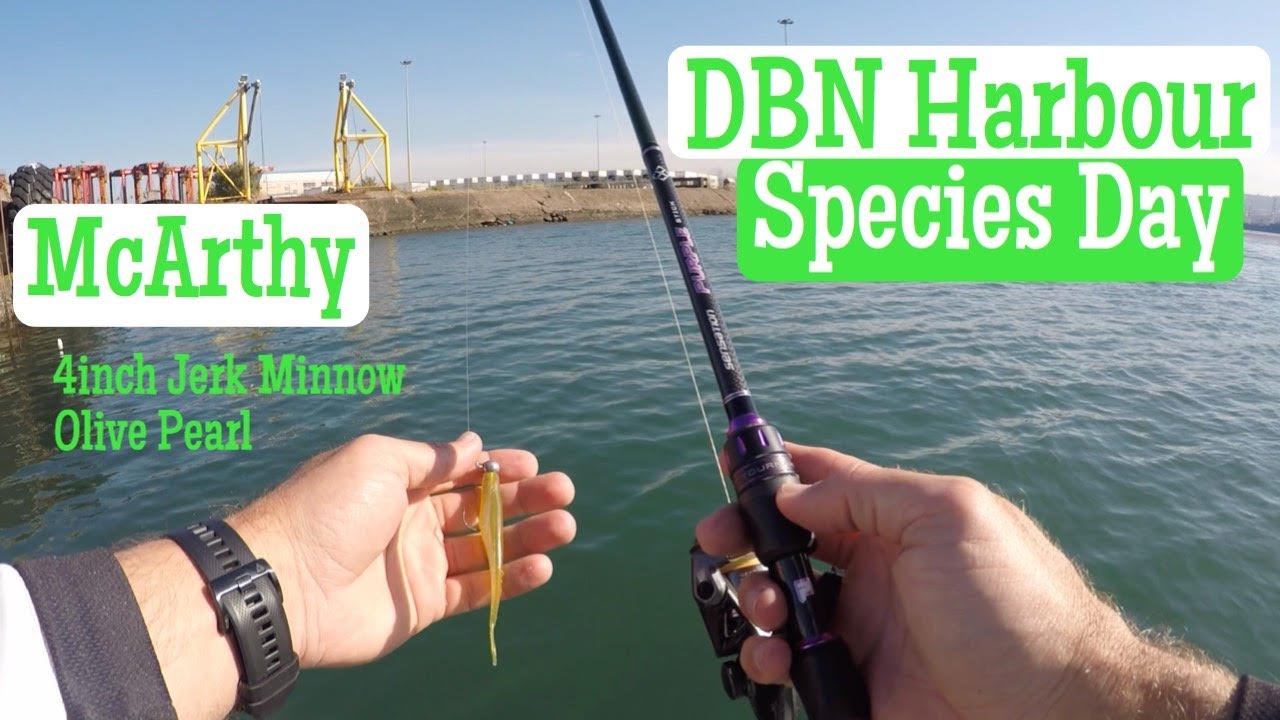 Multi Species Fishing in Durban Harbour on McArthy jerk minnow. South Africa, KZN.