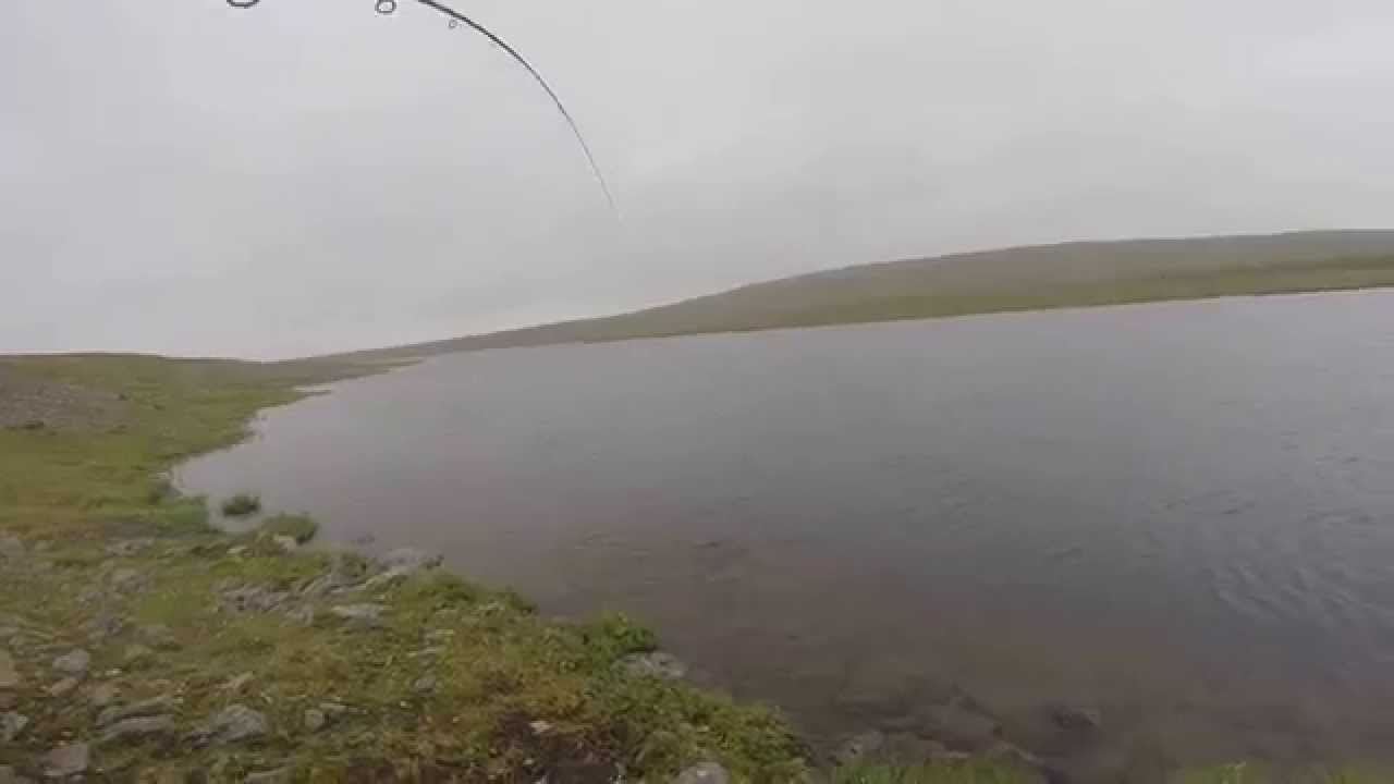 R&oslash;ye p&aring; Finnmarksvidda
