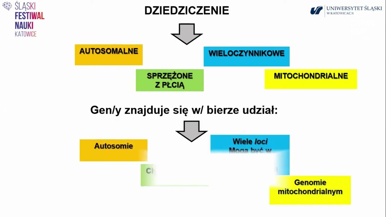 5.ŚFN KATOWICE: dr Marzena Kurowska_Geny człowieka &ndash; co kryją, jak dziedziczone ... (Program Online)