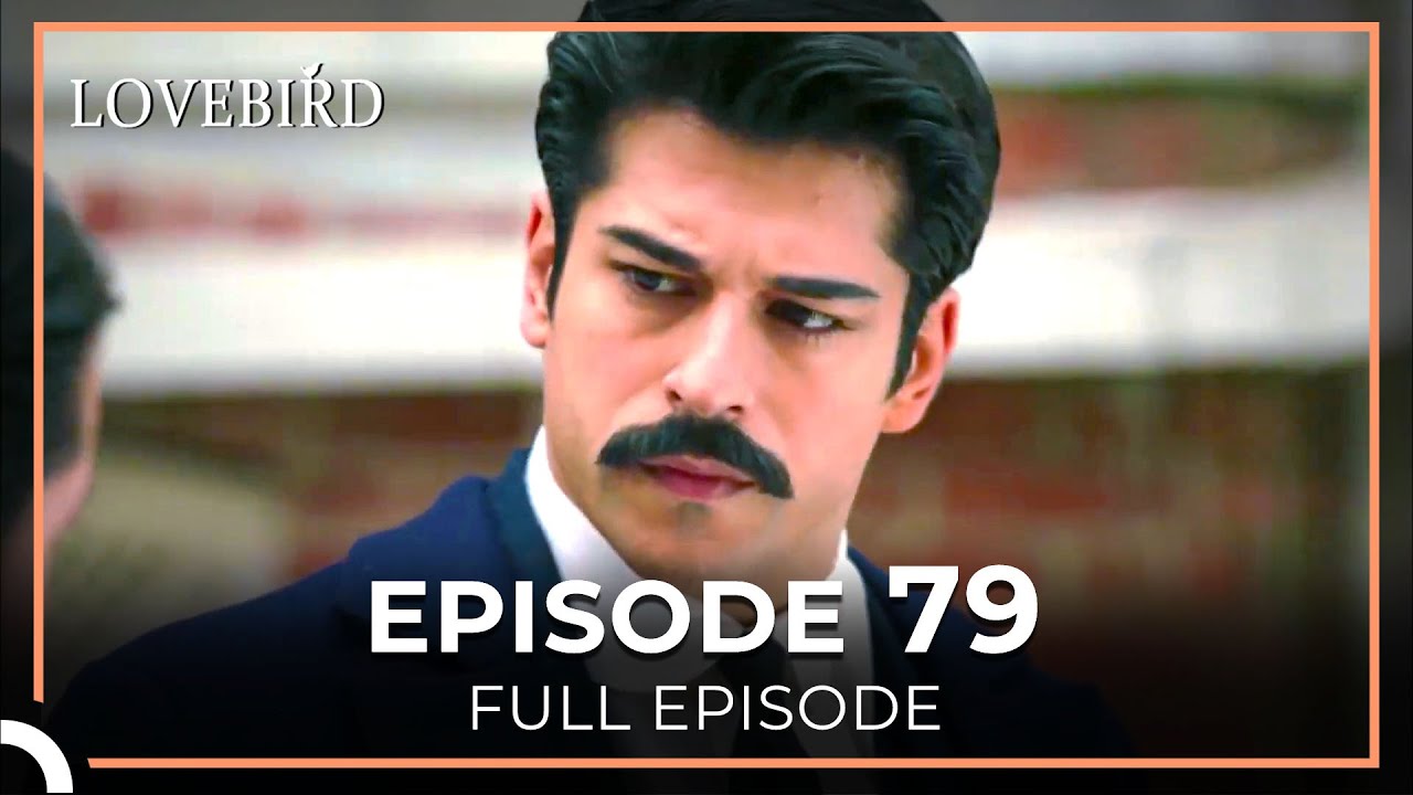 Lovebird Episode 79