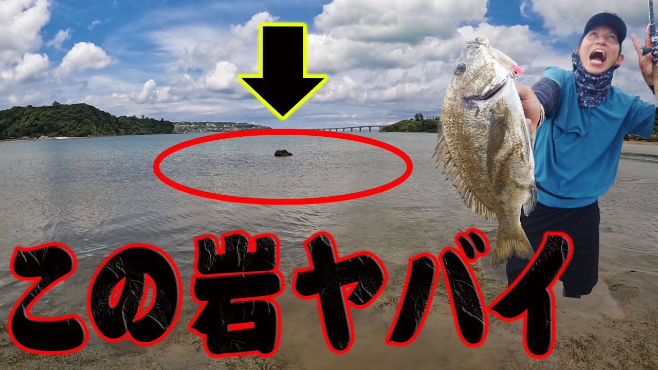 落ちパク！干潮２時間しか現れない魚が集まる秘境ポイント発見！