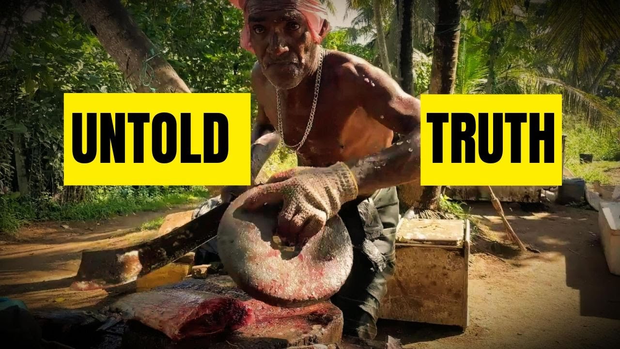 Hardworking: Hands The Life of a Skilled Elderly Fish Cutter