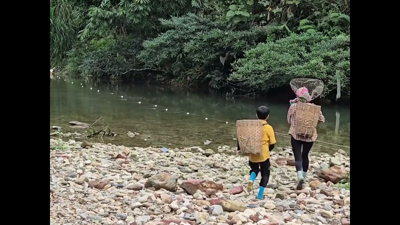 Village Style Fishing with Net in Clear Stream1
