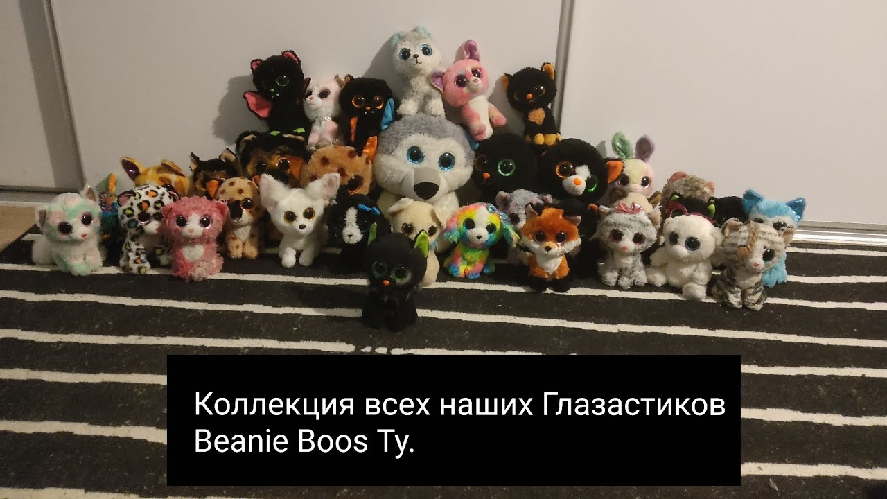 Коллекция всех наших Глазастиков Beanie Boos Ty. (Статус на 13.07.2023)