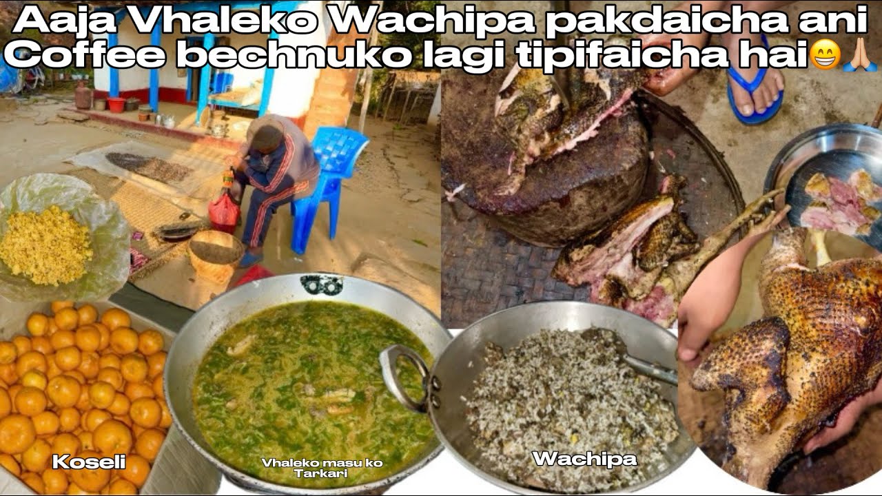 Chicken Wachipa Raiharuko fav dish recipe || coffee harvesting ani koseli aayo suntala yamkha bata