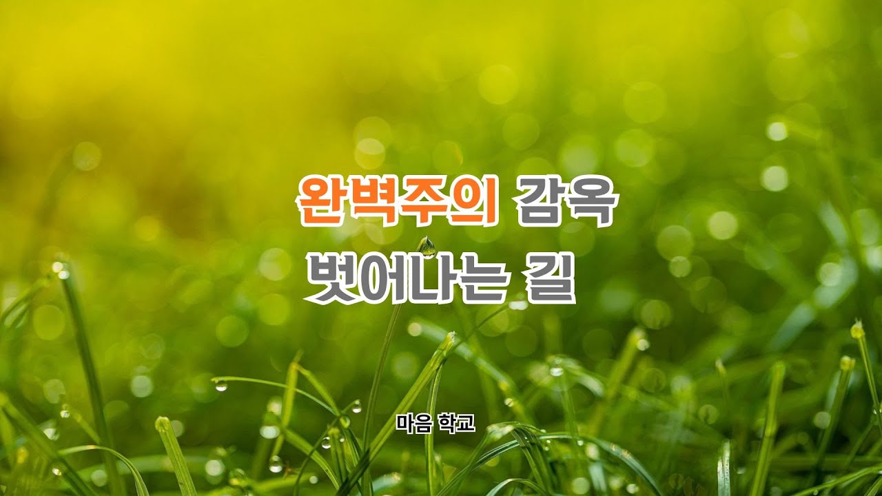완벽주의 감옥, 벗어나는 길 #간담건강 #마음건강 #마인드컨트롤 #명상 #마음학교