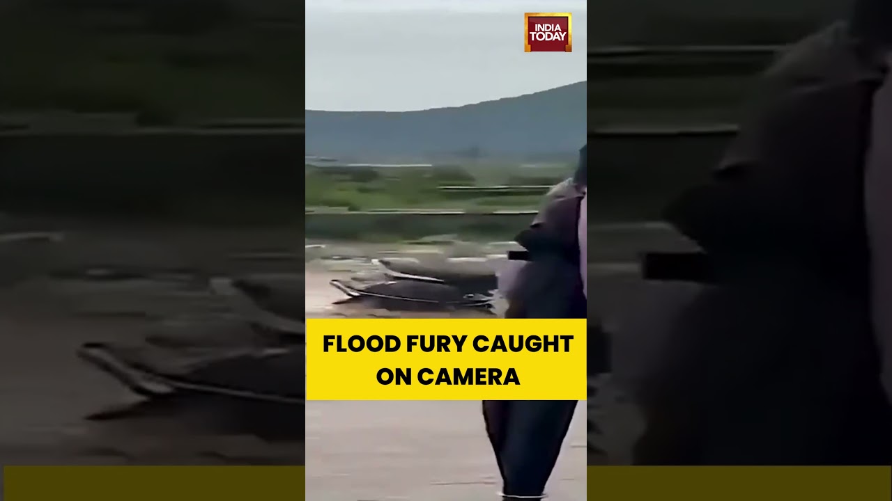 FLOOD FURY CAUGHT ON CAMERA #Viral #flood #Shorts #indiatoday