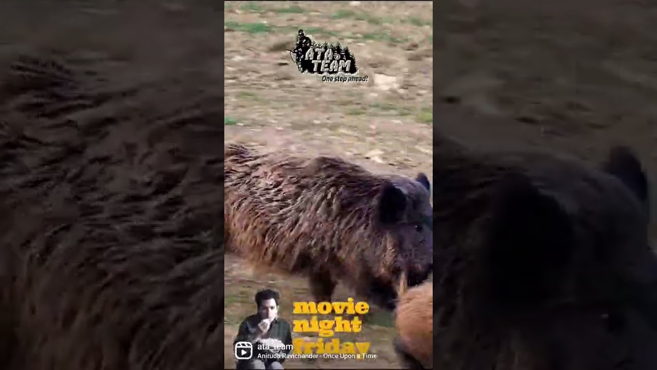 atateam wildboar