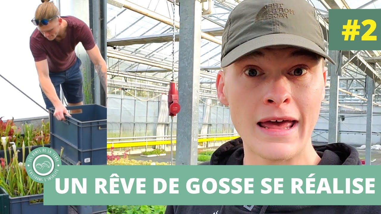 Comment j'ai aménagé L'IMMENSE serre qui accueille mes centaines de Plantes Carnivores | VLOG #2
