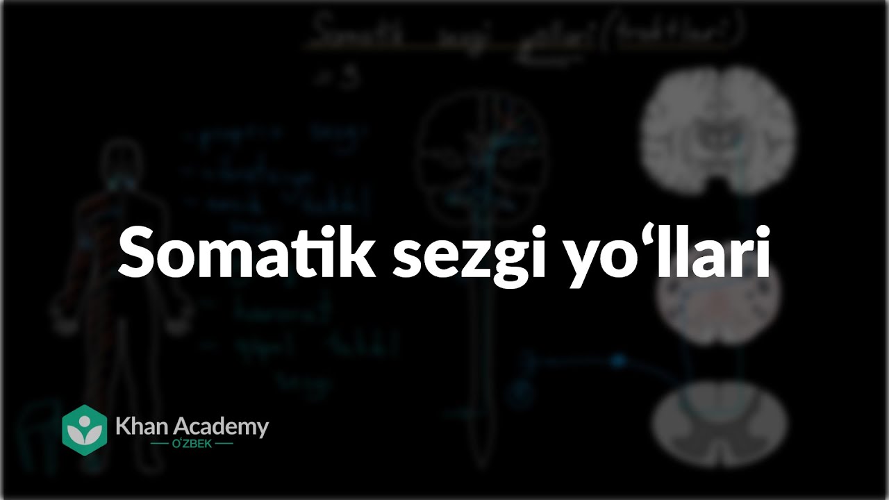 Somatik sezgi yoʻllari | Nerv tizimi | Tibbiyot
