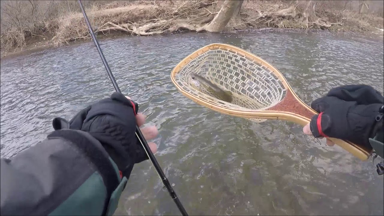 Delayed Harvest Fishing Pine Creek Allegheny County, Pa