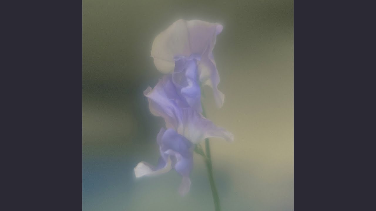 Private Language (사적 언어)