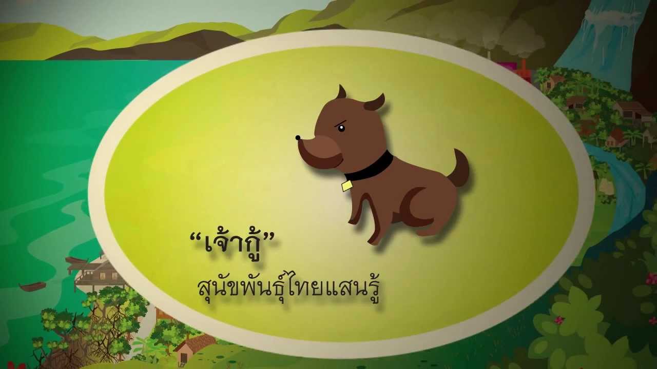 การ์ตูนชุด รู้แล้วรอด 8/10 : ตอน ภัยจากพายุ