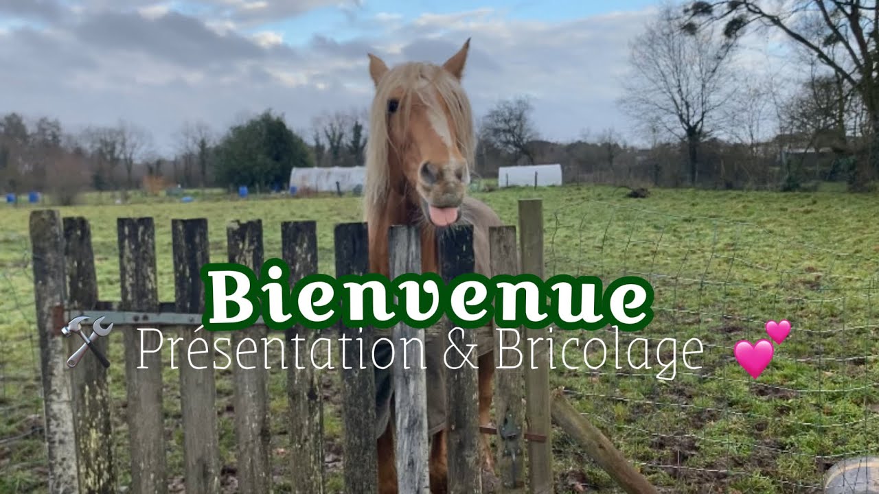 Nouvelle écurie, nouvelle aventure 💕