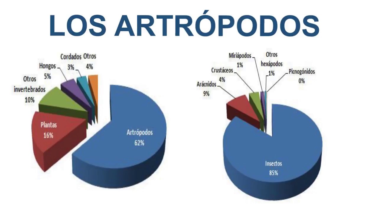 Invertebrados artrópodos - 1ESO