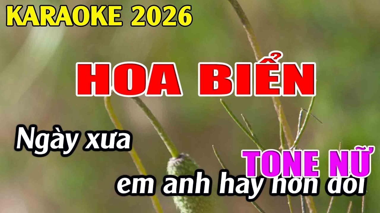 Hoa Biển Karaoke Tone Nữ Karaoke Tuyệt Phẩm - Beat Mới