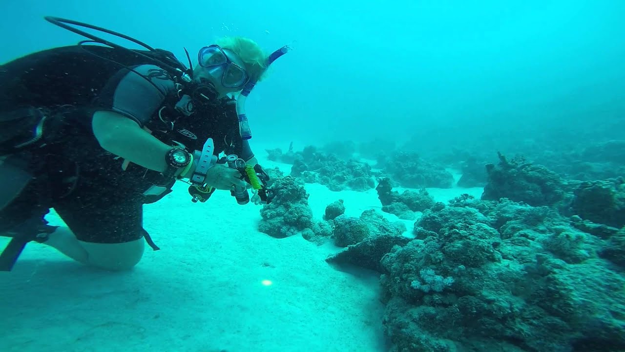 36 metre dive in Red Sea