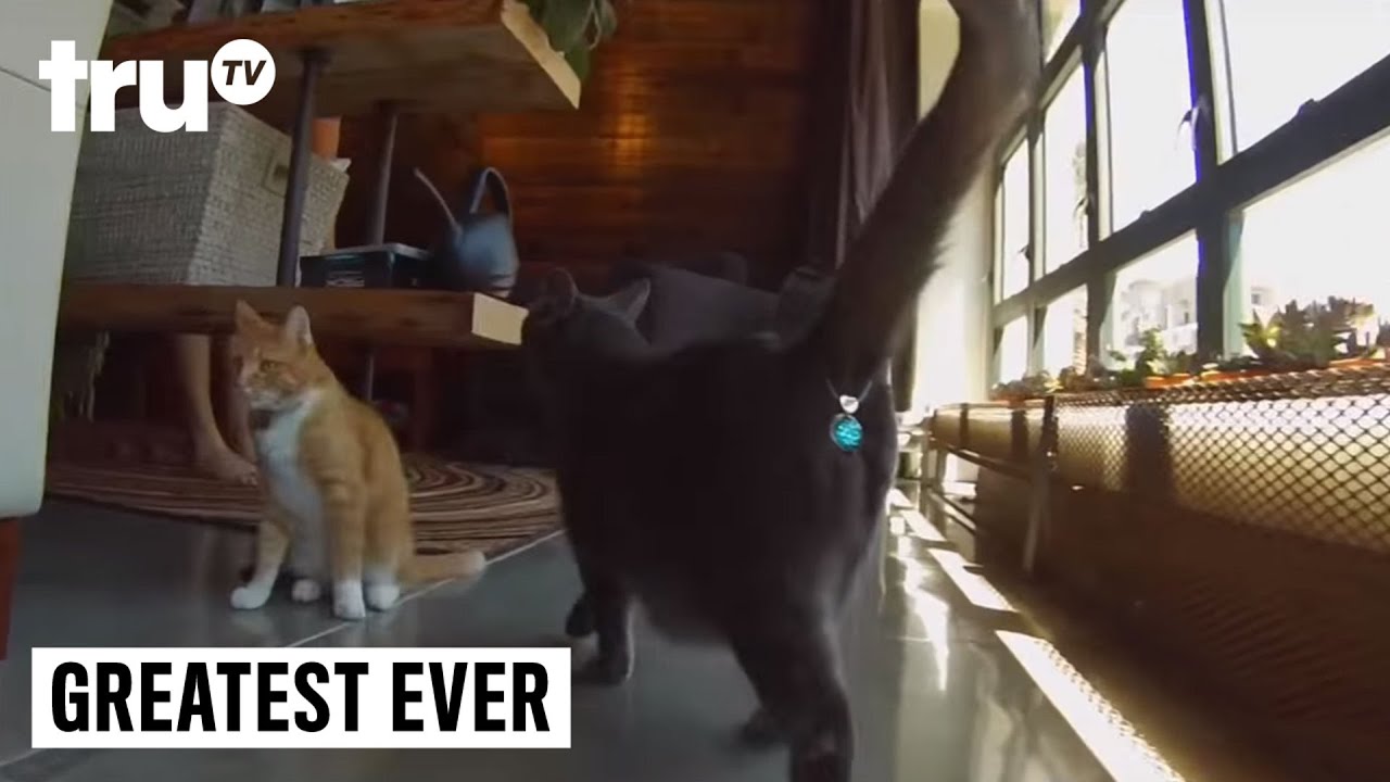 Greatest Ever - Worst Pet Products