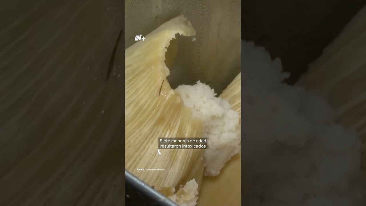Fiscal&iacute;a descarta fentanilo en tamales - N+