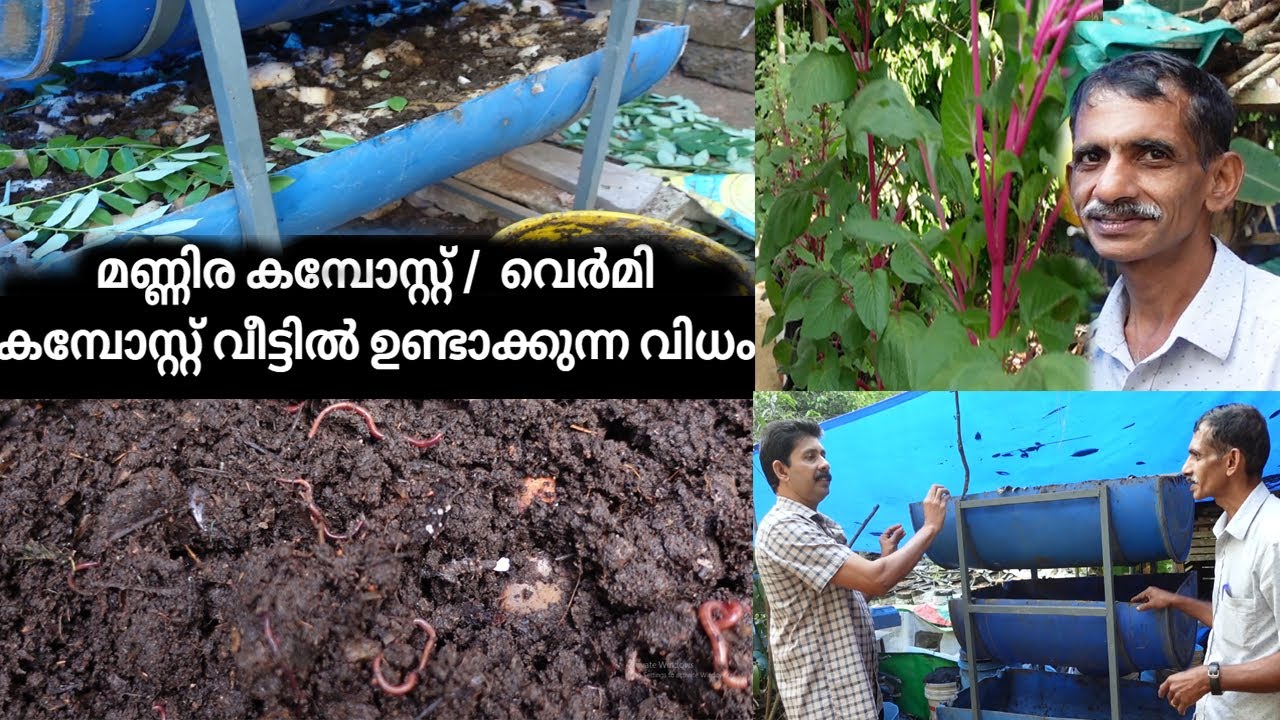 മണ്ണിര കമ്പോസ്റ്റ് വീട്ടിൽ ഉണ്ടാക്കുന്ന വിധം How to Make Vermi Compost | Natural Farming Malayalam