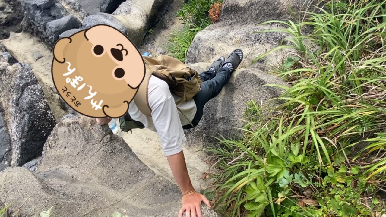 三浦半島めぐりで実家とひとり旅を思い出しました【アラフォー40代/独身女性/vlog】
