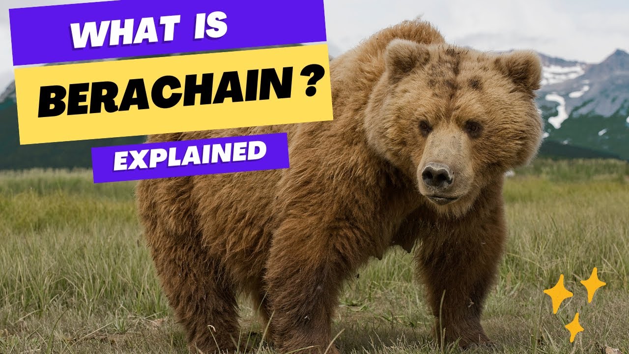 What is Berachain?  ✅ Explained under 10 minutes 🔥🔥🔥