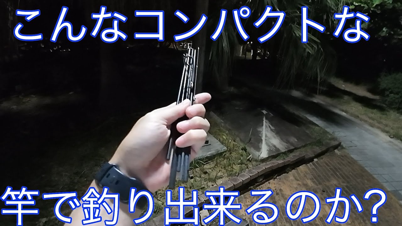 【沖縄】こんなコンパクトな竿があるんだ...沖縄の夜釣りで小物が沢山遊んでくれました【小物釣り】